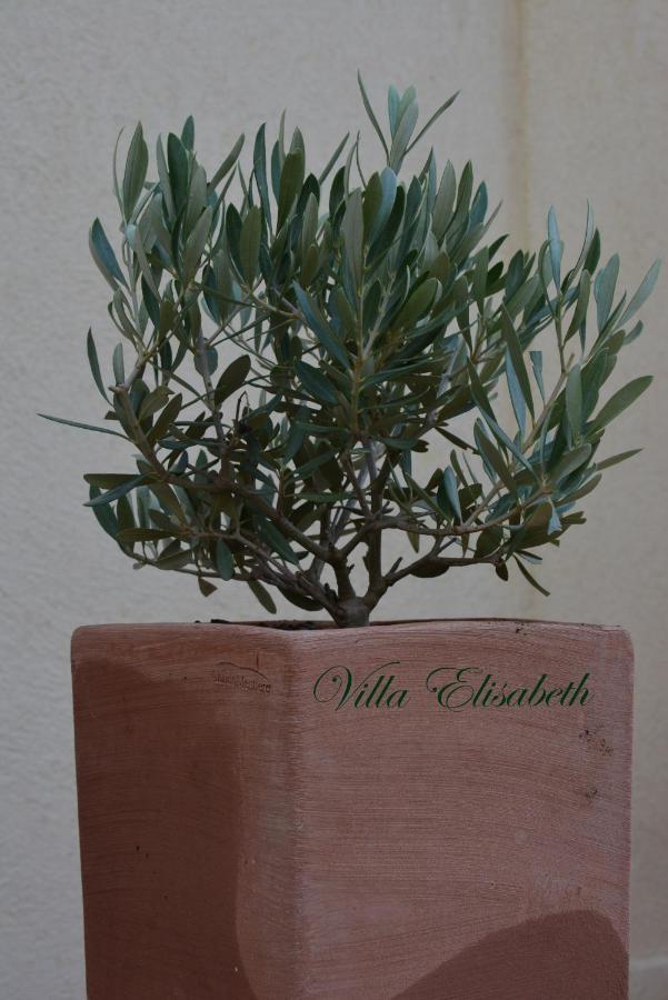 Villa Elisabeth Αιξ-αν-Προβάνς Εξωτερικό φωτογραφία